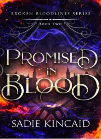 Promised in Blood (Broken Bloodlines Book 2) thumb 2 1