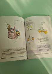 Figure Drawing: Design and Invention Figure Drawing: Design and Invention thumb 2 8