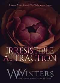 Irresistible Attraction (Merciless World Series Book 2) thumb 2 1
