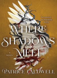 Where Shadows Meet Book 1