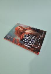 Lost & Found (Silk and Steel 3.5) Lost & Found (Silk and Steel 3.5) thumb 2 3