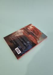 Lost & Found (Silk and Steel 3.5) thumb 1 5