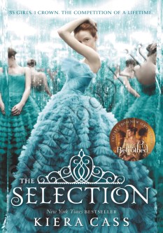 The Selection thumb 2 1