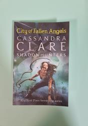 City of Fallen Angels (The Mortal Instruments, Book 4) thumb 2 2