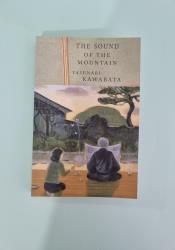 The Sound of the Mountain The Sound of the Mountain thumb 2 2