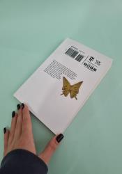 Bungo Stray Dogs 16 Bungo Stray Dogs 16 thumb 2 4