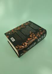 The Wise Mans Fear (The Kingkiller Chronicle Book 2) thumb 2 5