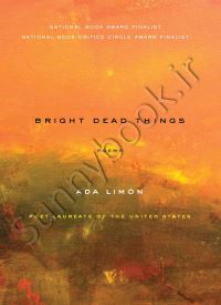 Bright Dead Things thumb 2 1