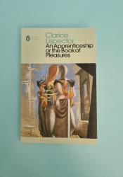 An Apprenticeship or The Book of Pleasures thumb 2 2