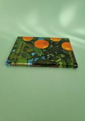 Violet Bent Backwards Over the Grass Violet Bent Backwards Over the Grass thumb 2 4