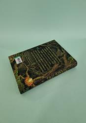 Where the Dark Stands Still thumb 2 5