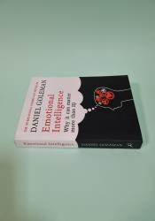 Emotional Intelligence: Why it Can Matter More Than IQ thumb 2 4