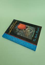 The Hostile Hospital (A Series of Unfortunate Events 8) thumb 2 3