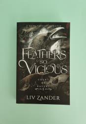 Feathers So Vicious (Court of Ravens 1) thumb 2 2