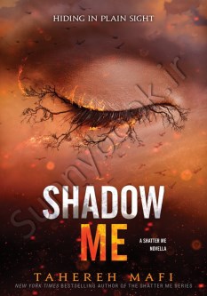 Shadow Me (Shatter Me 4.5)