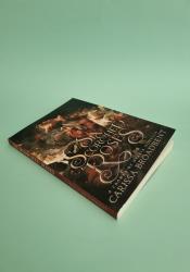 Six Scorched Roses (Crowns of Nyaxia book 1.5) thumb 2 3