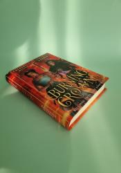 Burning Crowns (Twin Crowns Book 3) thumb 2 3