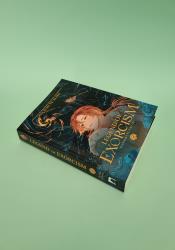 Legend of Exorcism: Tianbao Fuyao Lu (Novel) Vol. 2 thumb 2 3