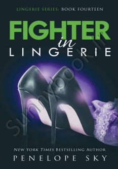 Fighter in Lingerie (Lingerie 14) thumb 2 1