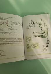 Figure Drawing: Design and Invention Figure Drawing: Design and Invention thumb 2 6