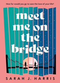 Meet Me On The Bridge thumb 2 1