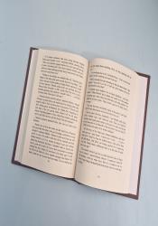 Anne of Avonlea (Anne of Green Gables, Book 2) thumb 1 3
