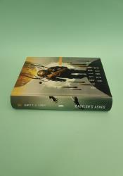 Babylon's Ashes: Book 6 of the Expanse thumb 2 4