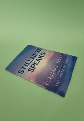 Stillness Speaks thumb 2 3