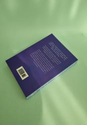 Castle in the Air (Howl's Moving Castle 2) thumb 2 5