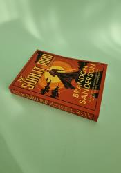 The Sunlit Man thumb 1 3