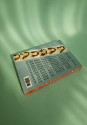 Talking as Fast as I Can: From Gilmore Girls to Gilmore Girls thumb 2 5