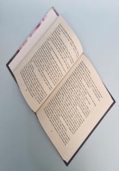 The Beginning After The End: Early Years, Book 1 thumb 1 5