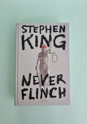 Never Flinch (Holly Gibney 4) Never Flinch (Holly Gibney 4) thumb 2 2