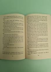 Red Rising Book 1 thumb 1 6