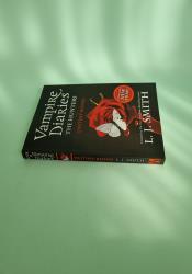 The Vampire Diaries: The Hunters: Destiny Rising: Book 10 thumb 2 4