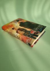 Case File Compendium: Bing An Ben (Novel) Vol. 2 thumb 2 3