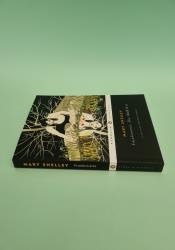 Frankenstein: The 1818 Text thumb 1 5