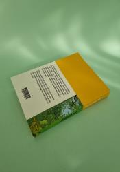 Summer (Seasonal Quartet 4) thumb 1 5