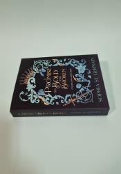 A Promise so Bold and Broken (Compelling Fates Saga 2) A Promise so Bold and Broken (Compelling Fates Saga 2) thumb 2 4