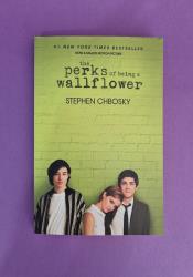 The Perks of Being a Wallflower thumb 2 2