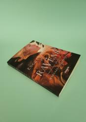 An Enchantment of Ravens thumb 2 3