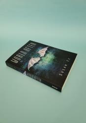 World After (Penryn & the End of Days Book 2) thumb 1 3