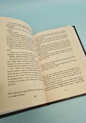 The Hidden Girl and Other Stories thumb 1 6