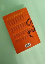 A Court of Silver Flames (A Court of Thorns and Roses 4) thumb 2 4