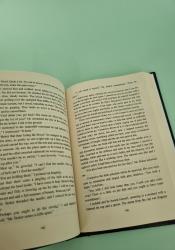 A Curious Beginning (Veronica Speedwell 1) thumb 2 7