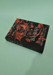 The Bond That Burns (Bloodwing Academy Book 2) thumb 1 3