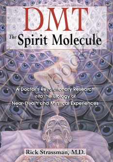 DMT: The Spirit Molecule thumb 2 1