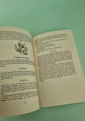 Buckland's Book of Gypsy Magic: Travelers' Stories, Spells  Healings thumb 2 5