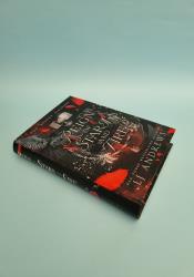 Reign of Stars and Fire (The Broken Kingdoms Book 8) thumb 1 3