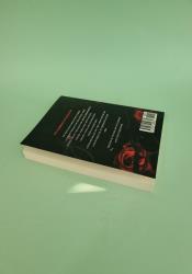 Consumed by Deception (Deception Trilogy 3) thumb 1 6